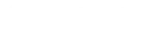 Partner 3